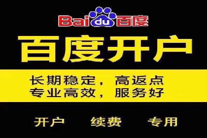 百度竞价包年推广策略：企业增长的新动力